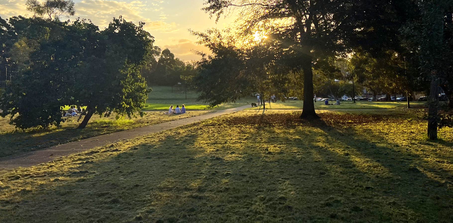 People in a parrk enjoying a beautiful sunset